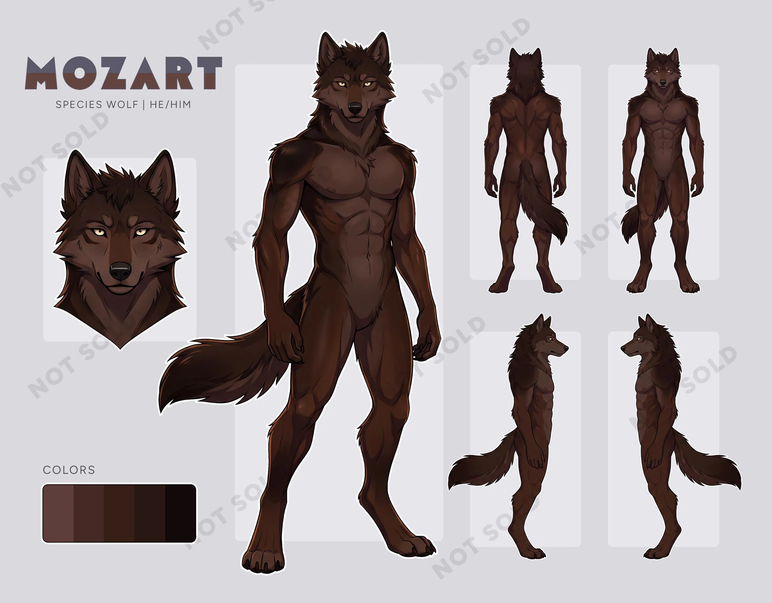 Wolf Furry Adopt, Muscular Canine Anthro OC, Fursona Reference Sheet